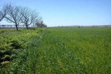 Фото №1: Коммерция 6 м² - Краснодар, мкр. Прикубанский внутригородской округ, ул. Спаниельская