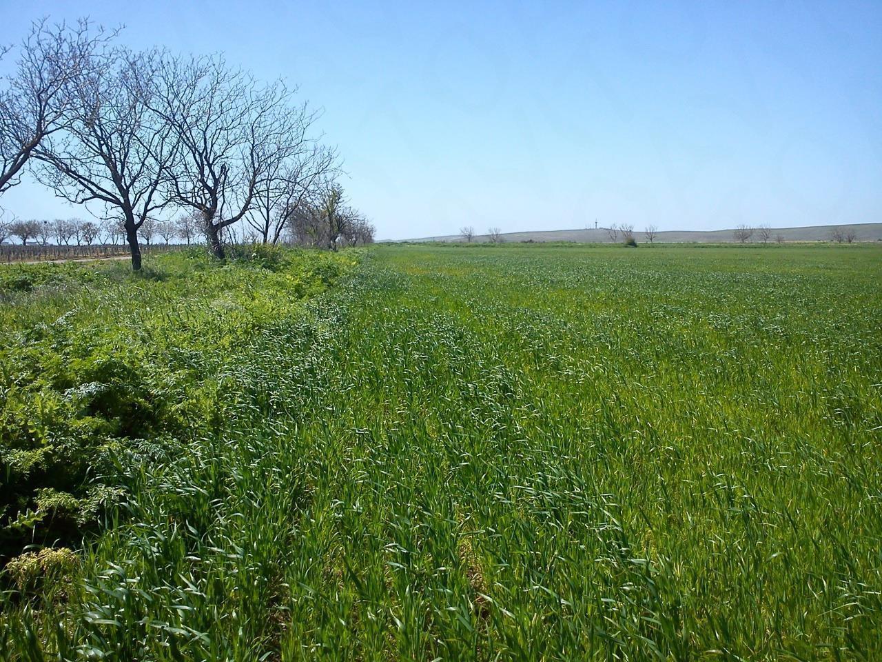 Фото №1: Коммерция 6 м² - Краснодар, мкр. Прикубанский внутригородской округ, ул. Спаниельская