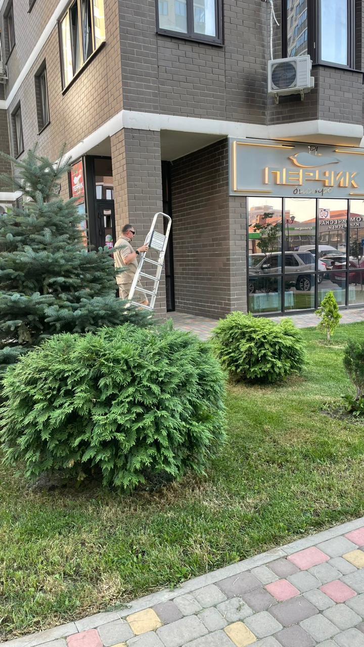 Фото №9: Коммерция 80 м² - Краснодар, Прикубанский внутригородской округ, Россинского, мкр. жилой комплекс Дружный, ул. Адмирала Серебрякова, 3к2