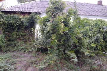 Фото №4: Дом 27 м² - Звезда, ул. Октябрьская, 25