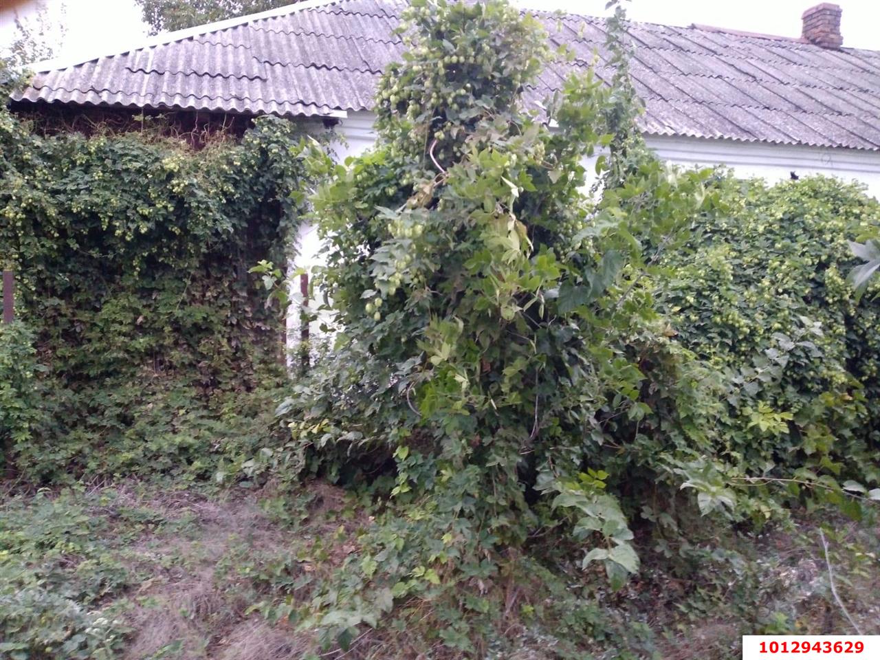 Фото №4: Дом 27 м² + 6.5 сот. - Звезда, ул. Октябрьская, 25