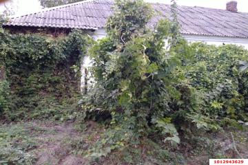 Фото №4: Дом 27 м² - Звезда, ул. Октябрьская, 25