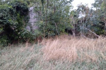 Фото №5: Дом 27 м² - Звезда, ул. Октябрьская, 25