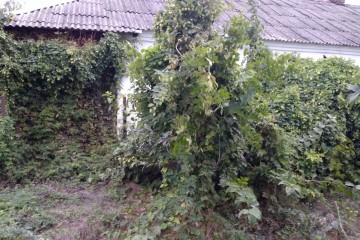 Фото №4: Дом 27 м² - Звезда, ул. Октябрьская, 25