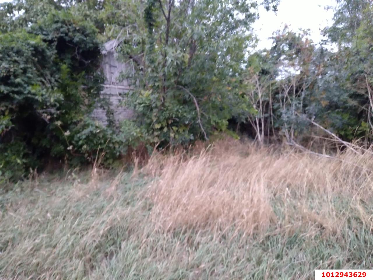 Фото №5: Дом 27 м² + 6.5 сот. - Звезда, ул. Октябрьская, 25