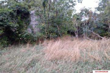 Фото №5: Дом 27 м² - Звезда, ул. Октябрьская, 25