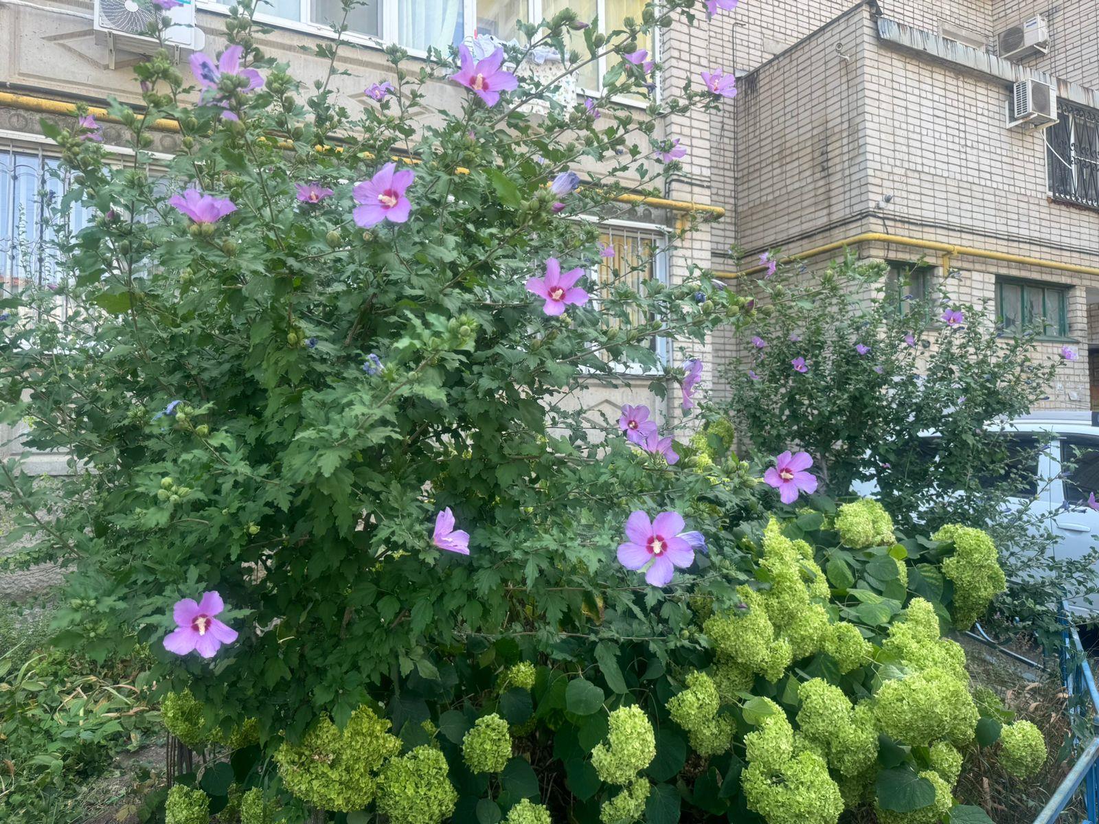 Фото №11: 2-комнатная квартира 53 м² - Краснодар, мкр. Карасунский внутригородской округ, ул. Выгонная, 20