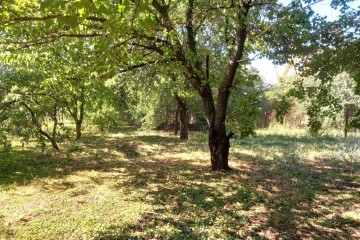 Фото №4: Дом 340 м² - Знаменский, мкр. Карасунский внутригородской округ, ул. Берёзовая