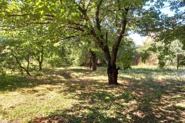 Фото №4: Дом 340 м² - Знаменский, мкр. Карасунский внутригородской округ, ул. Берёзовая