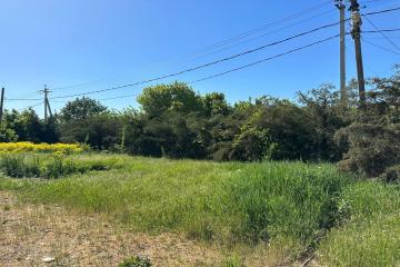 Фото №1: Земельный участок 6 сот. - Елизаветинская, ст Мечта, 162