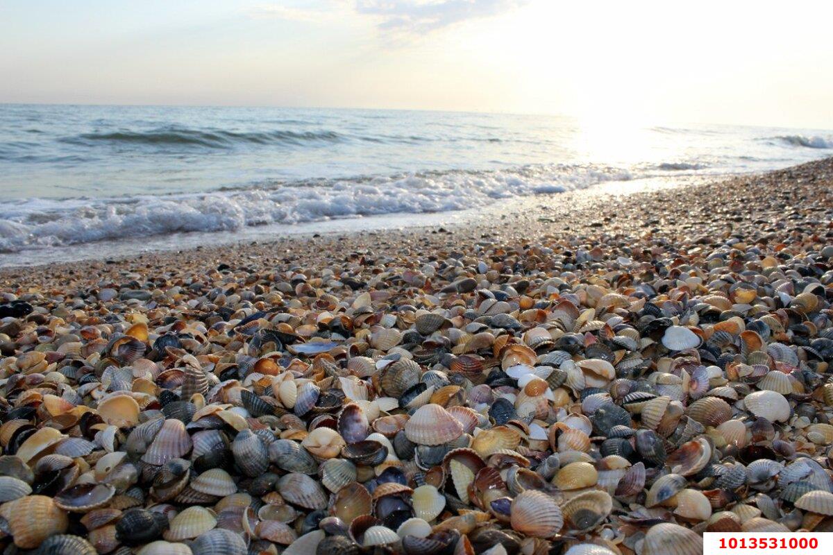 Фото №1: Земельный участок под ИЖС 27.97 сот. - Пересыпь