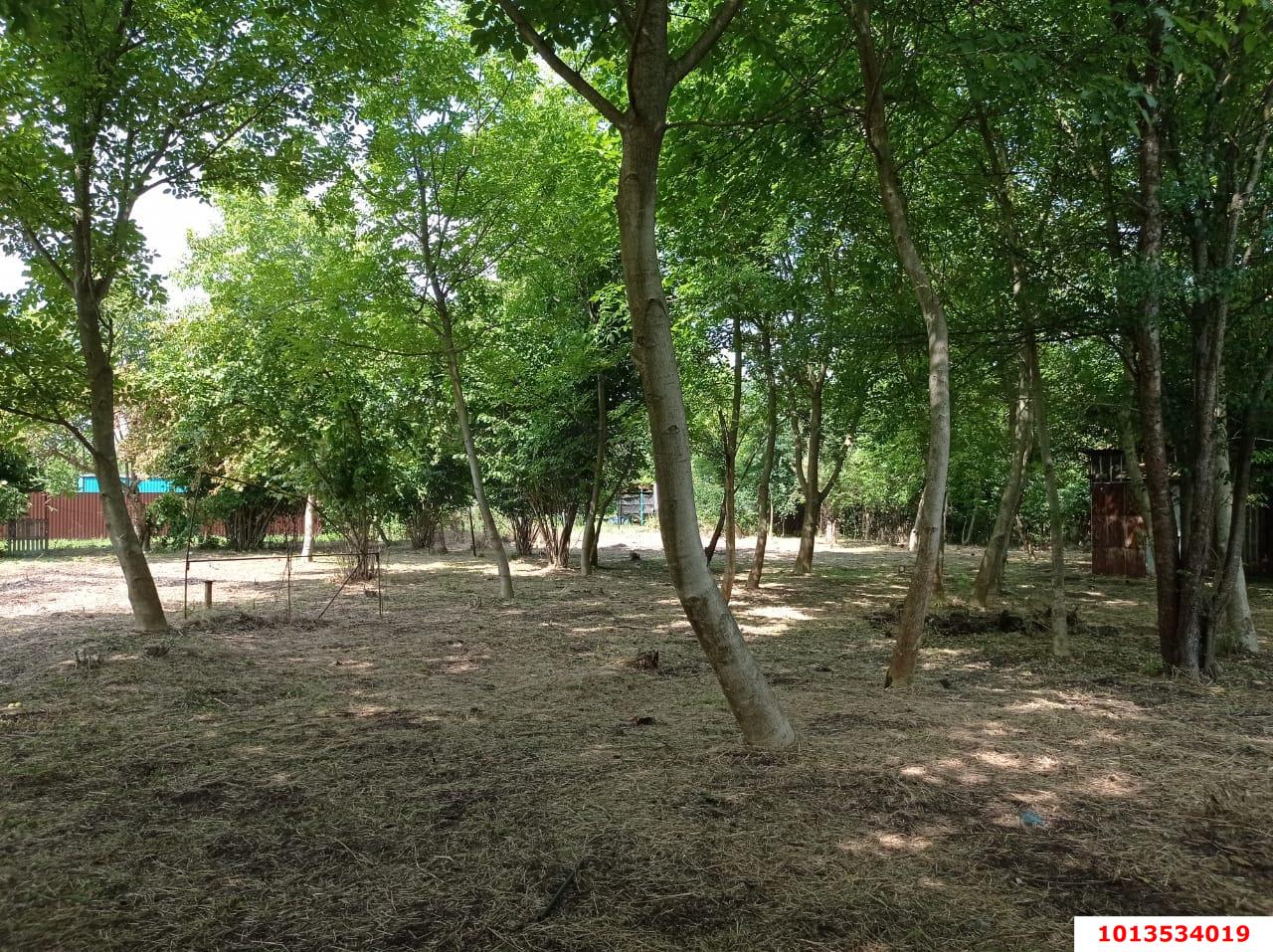 Фото №4: Участок садоводство 7.99 сот. - Урожай, Карасунский внутригородской округ, ул. Айвовая, 323