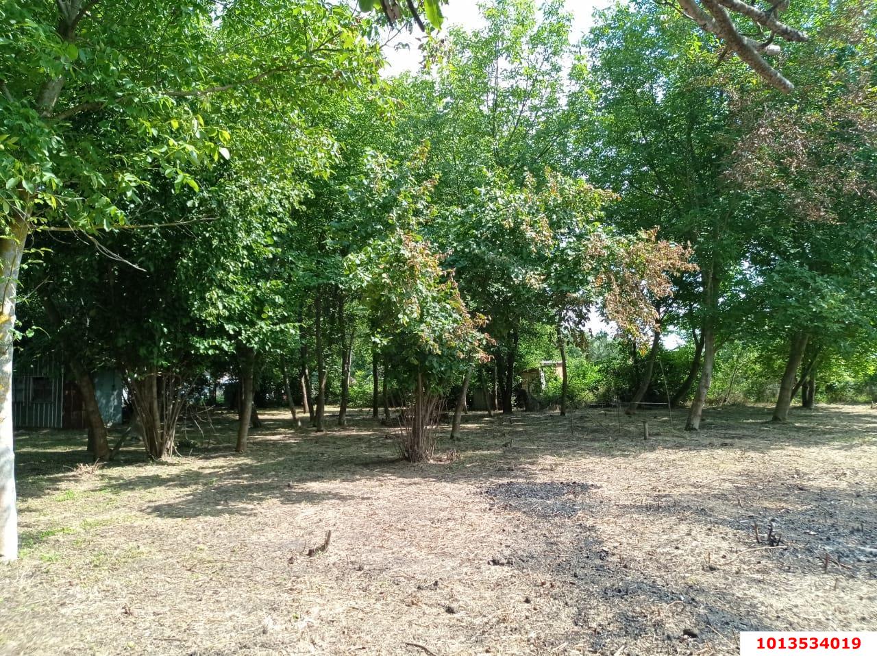 Фото №5: Участок садоводство 7.99 сот. - Урожай, Карасунский внутригородской округ, ул. Айвовая, 323