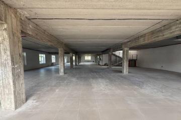 Фото №3: Коммерция 1183 м² - Апшеронск, ул. Ленина, 24