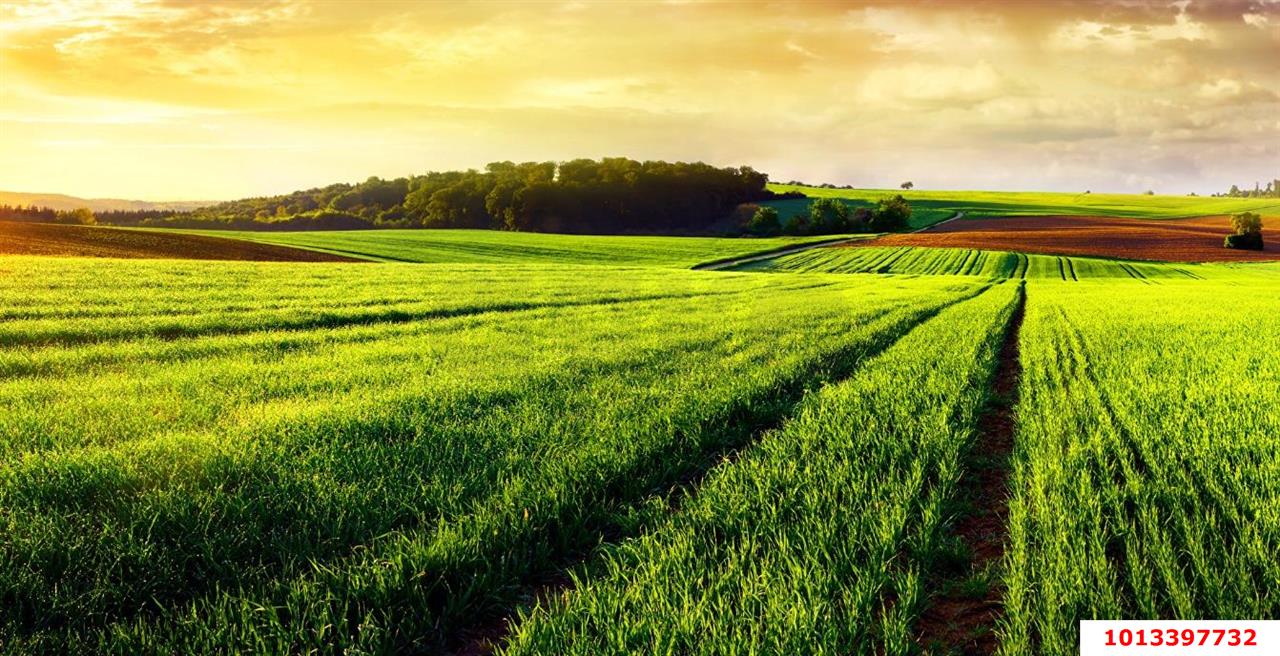 Фото №3: Коммерческая земля 6 сот. - Аврора, Карасунский внутригородской округ, ул. Державная, 54