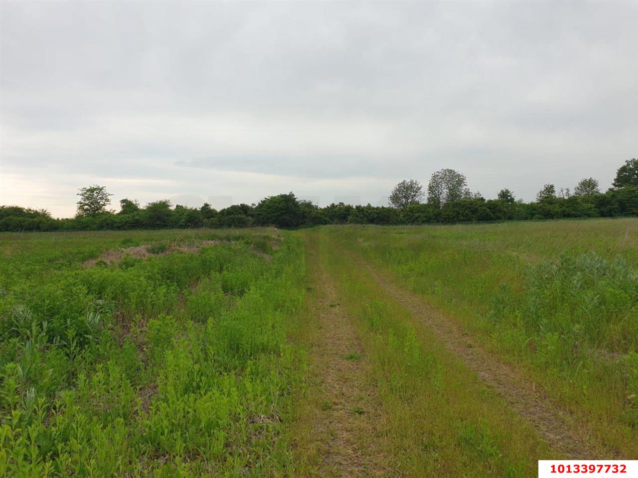 Фото №9: Коммерческая земля 6 сот. - Аврора, Карасунский внутригородской округ, ул. Державная, 54