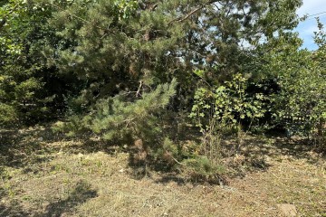 Фото №3: Участок садоводство 6.1 сот. - Елизаветинская, ст Кубань-2, ул. Солнечная, 19