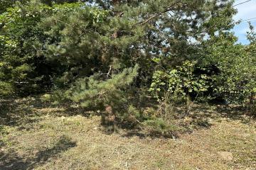 Фото №3: Земельный участок 6.1 сот. - Елизаветинская, ст Кубань-2, ул. Солнечная, 19