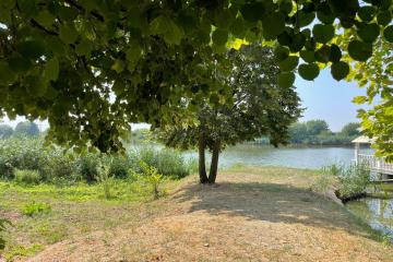 Фото №1: Дом 122 м² - Карла Маркса, ул. Белевцы, 42