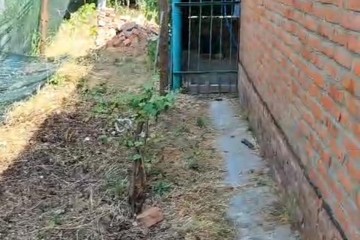 Фото №2: Участок садоводство 6.68 сот. - Елизаветинская, ст Голубая Нива, ул. Рябиновая, 74