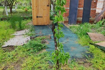 Фото №4: Участок садоводство 6.68 сот. - Елизаветинская, ст Голубая Нива, ул. Рябиновая, 74