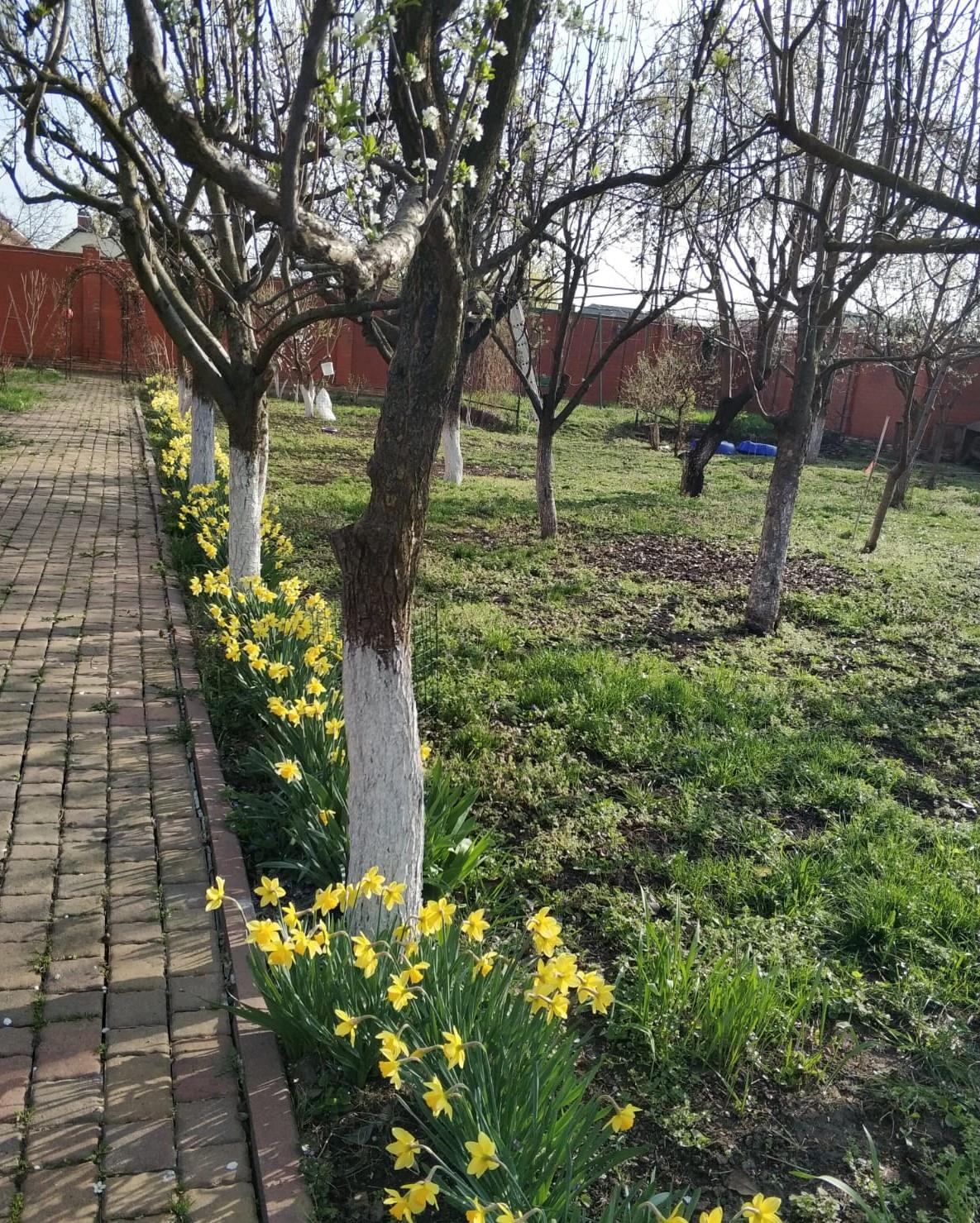 Фото №19: Дом 798 м² + 8.18 сот. - Краснодар, Прикубанский внутригородской округ, Завод Радиоизмерительных Приборов, п. Калинино, ул. Астраханская, 2