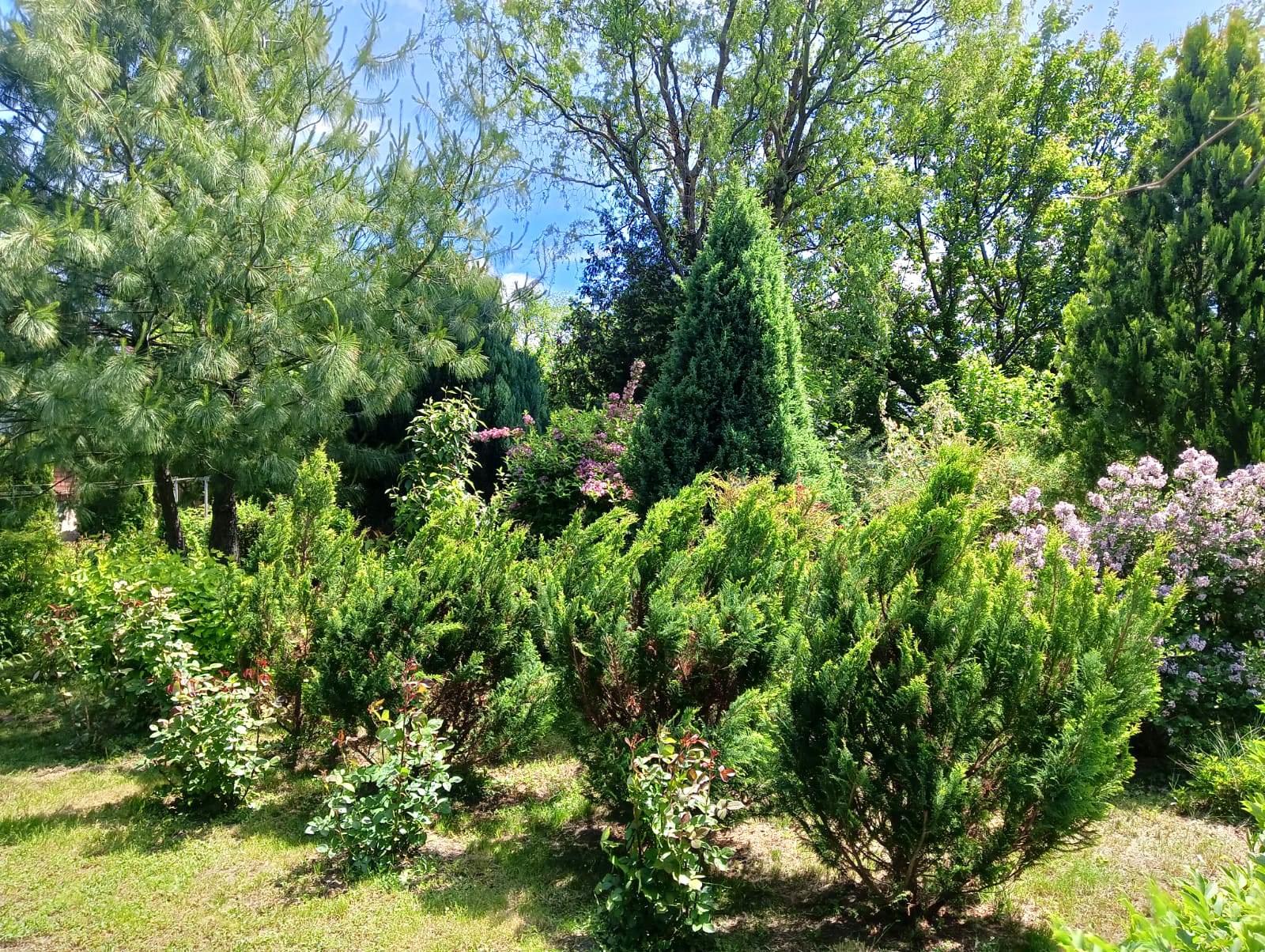 Фото №6: Дом 121 м² + 23.04 сот. - Воронежская, ул. Калинина, 36А