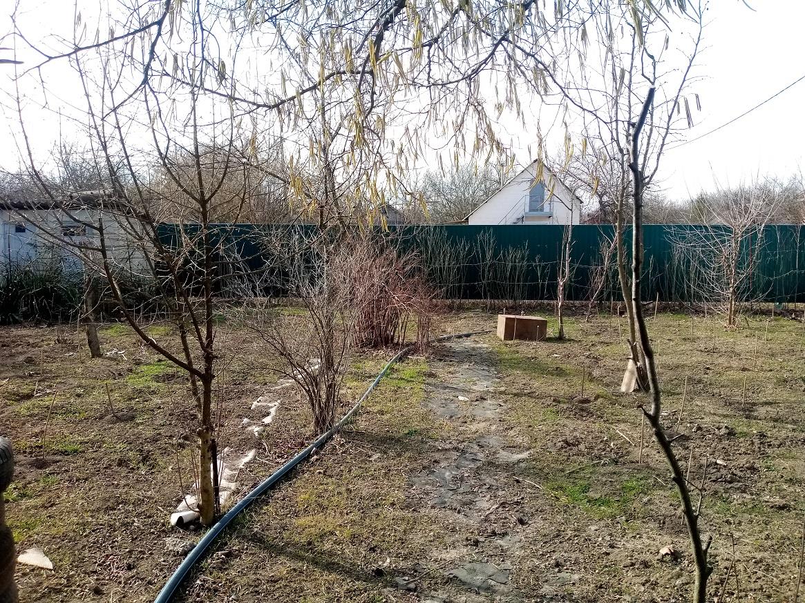 Фото №13: Дом 30 м² + 6.2 сот. - СНТ Платан