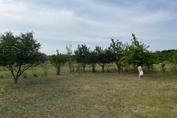 Фото №2: Участок садоводство 8 сот. - Урожай, мкр. Карасунский внутригородской округ, ул. Абрикосовая, 177