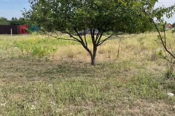 Фото №1: Участок садоводство 8 сот. - Урожай, мкр. Карасунский внутригородской округ, ул. Абрикосовая, 177