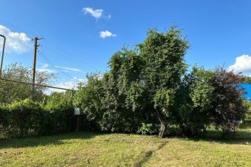 Фото №4: Личное подсобное хозяйство 14 сот. - Новодмитриевская, ул. Набережная, 30