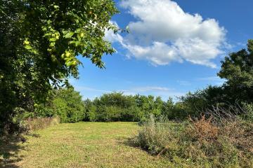 Фото №5: Коммерция 13 м² - Новодмитриевская, ул. Набережная, 30