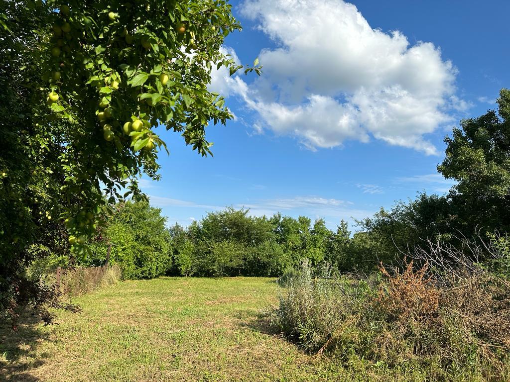 Фото №5: Коммерция 13 м² - Новодмитриевская, ул. Набережная, 30