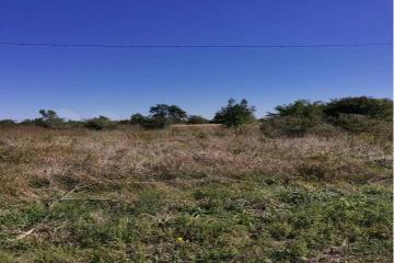 Фото №4: Земельный участок 16 сот. - Октябрьский, мкр. Прикубанский внутригородской округ, ул. Извилистая, 38