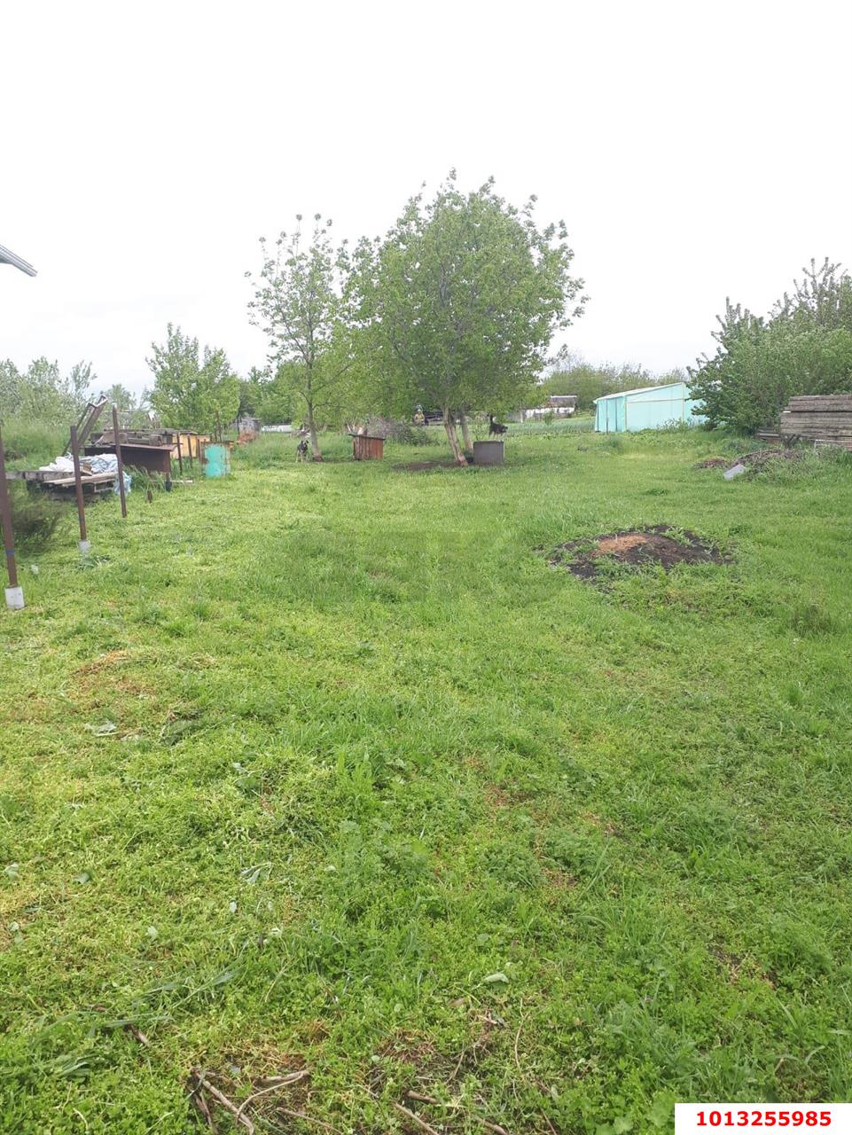 Фото №4: Земельный участок под ИЖС - Первореченское, ул. Калинина, 12