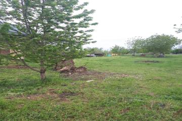 Фото №3: Земельный участок 11.76 сот. - Первореченское, мкр. жилой комплекс Премьера, ул. Калинина, 12