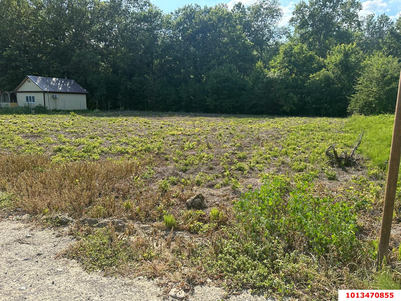 Фото №2: Личное подсобное хозяйство - Ильский, ул. Лесная, 64