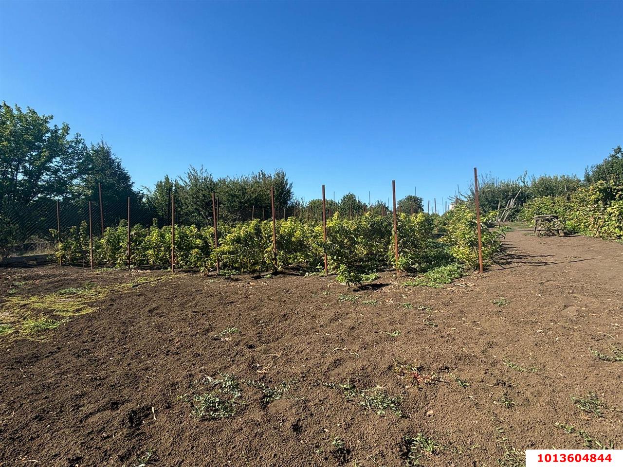 Фото №2: Земельный участок 15 сот. - Старомышастовская, мкр. поселок Сады Южные, ул. Южные Сады, 19