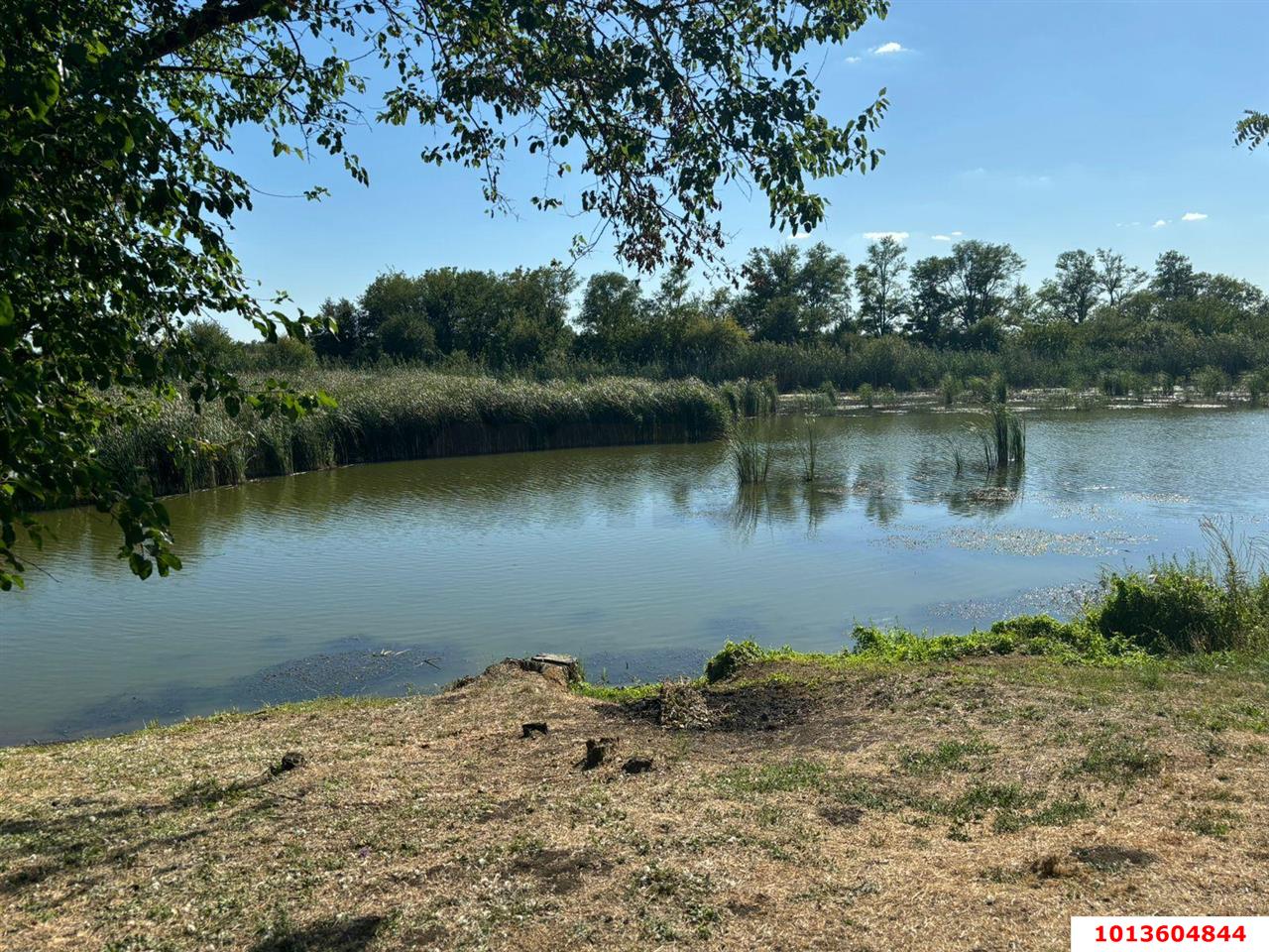 Фото №5: Земельный участок под ИЖС 15 сот. - Старомышастовская, поселок Сады Южные, ул. Южные Сады, 19