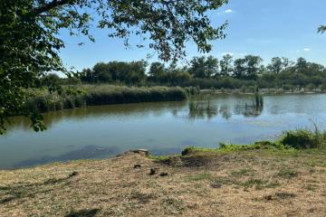 Фото №5: Земельный участок 15 сот. - Старомышастовская, мкр. поселок Сады Южные, ул. Южные Сады, 19