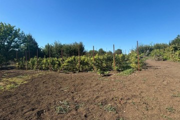 Фото №2: Земельный участок под ИЖС 15 сот. - Старомышастовская, мкр. поселок Сады Южные, ул. Южные Сады, 19