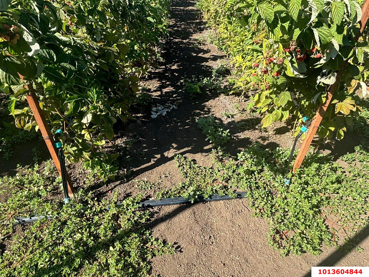 Фото №4: Земельный участок 15 сот. - Старомышастовская, мкр. поселок Сады Южные, ул. Южные Сады, 19