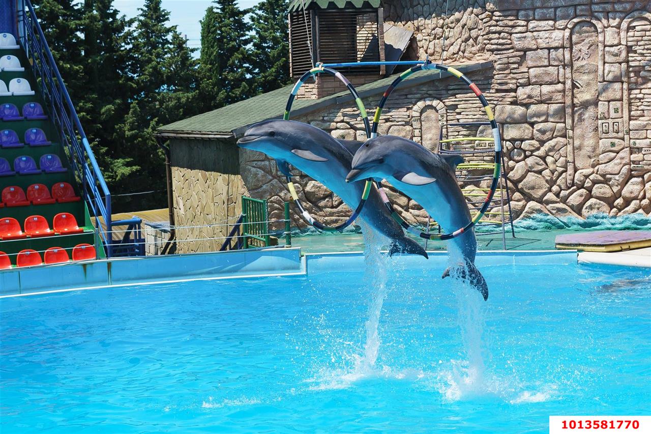 Фото №8: Земельный участок под ИЖС 6.93 сот. - Джубга, ул. А-147, 6-й километр