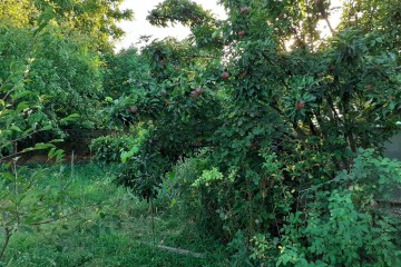 Фото №3: Дом 39 м² - Воронежская, ул. Пионерская, 12А