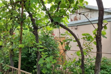 Фото №5: Дом 39 м² - Воронежская, ул. Пионерская, 12А