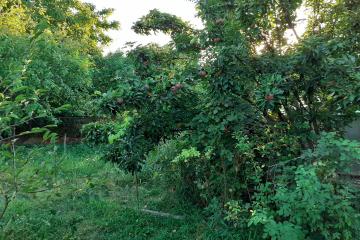 Фото №3: Дом 39 м² - Воронежская, мкр. Черёмушки, ул. Пионерская, 12А