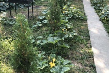 Фото №5: Земельный участок под ИЖС 2.5 сот. - Краснодар, мкр. Центральный, ул. Гоголя, 120