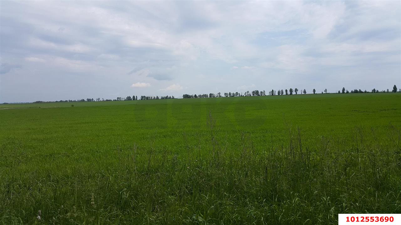 Фото №1: Коммерческая земля 358 сот. - Новотитаровская