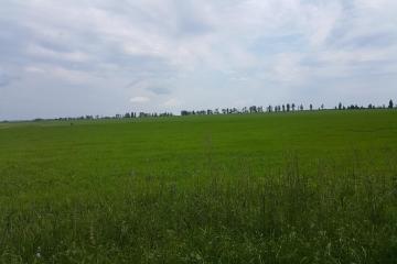 Фото №1: Коммерция 357 м² - Новотитаровская, 