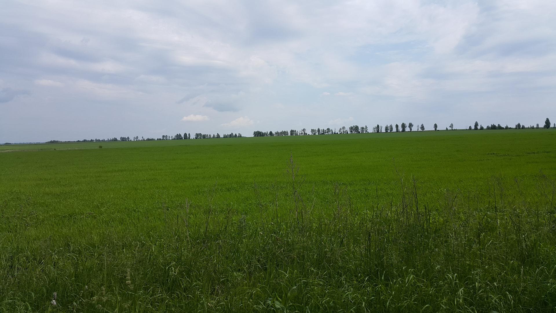 Фото №1: Коммерция 357 м² - Новотитаровская